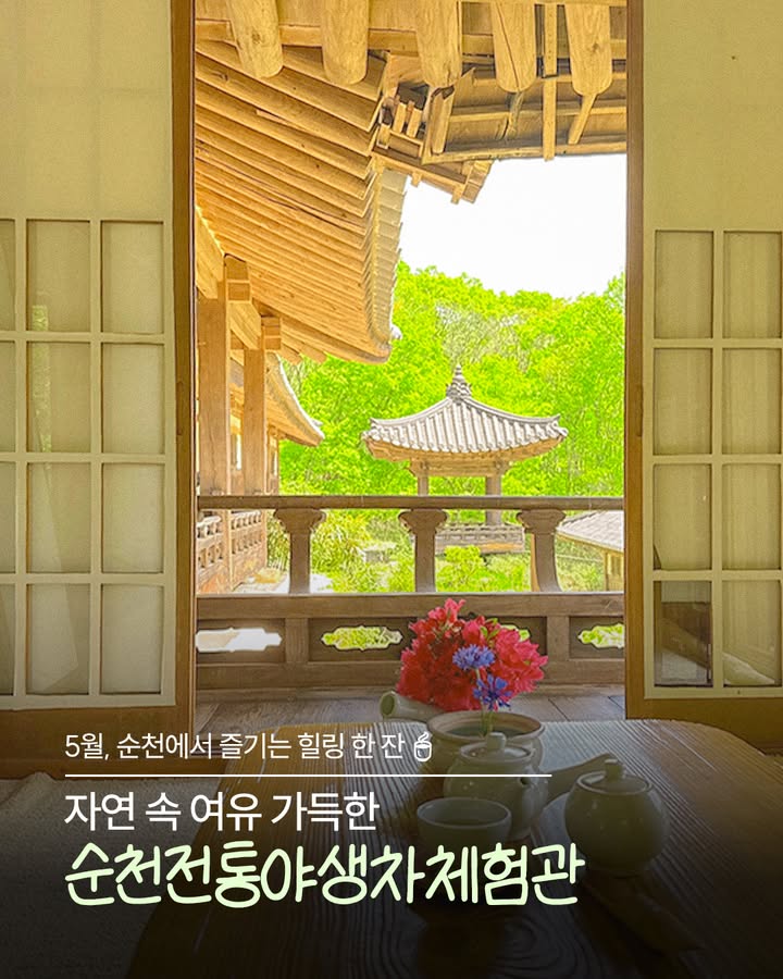 5월, 순천에서 즐기는 힐링 한 잔  

자연 속 여유 가득한
순천전통야생차체험관을 소개합니다!

  고즈넉한 한옥 감성
산속에 자리한 전통 한옥 건물로
푸릇한 자연과 어우러진 풍경이 매력적 

  차 한 잔의 여유
향긋한 차를 마시며
마음까지 편안해지는 힐링 시간~

  전통차 체험
직접 전통 야생차를 만들고 시음까지!
특별한 경험을 할 수 있는 공간!

  위치
전남 순천시 승주읍 선암사길 450 1

  추천 코스
선암사 초입에 위치해 있어
사찰 산책과 함께 방문하기 좋아요

자연과 전통이 어우러진 공간에서
천천히 흐르는 시간을 느껴보세요  

#순천여행 #순천가볼만한곳 #전통차체험
#힐링여행 #한옥감성 #선암사 #순천핫플