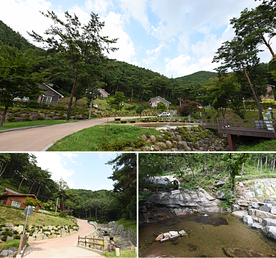 휴양림관련사진 3장