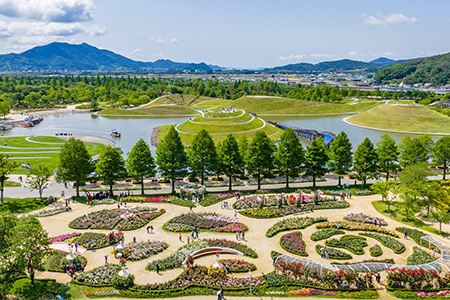 순천만국가정원 이미지