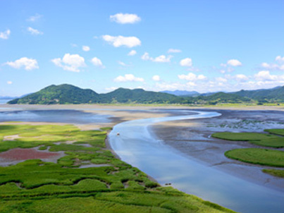 [풀코스] 남파랑길 61코스 순천만 씨워킹