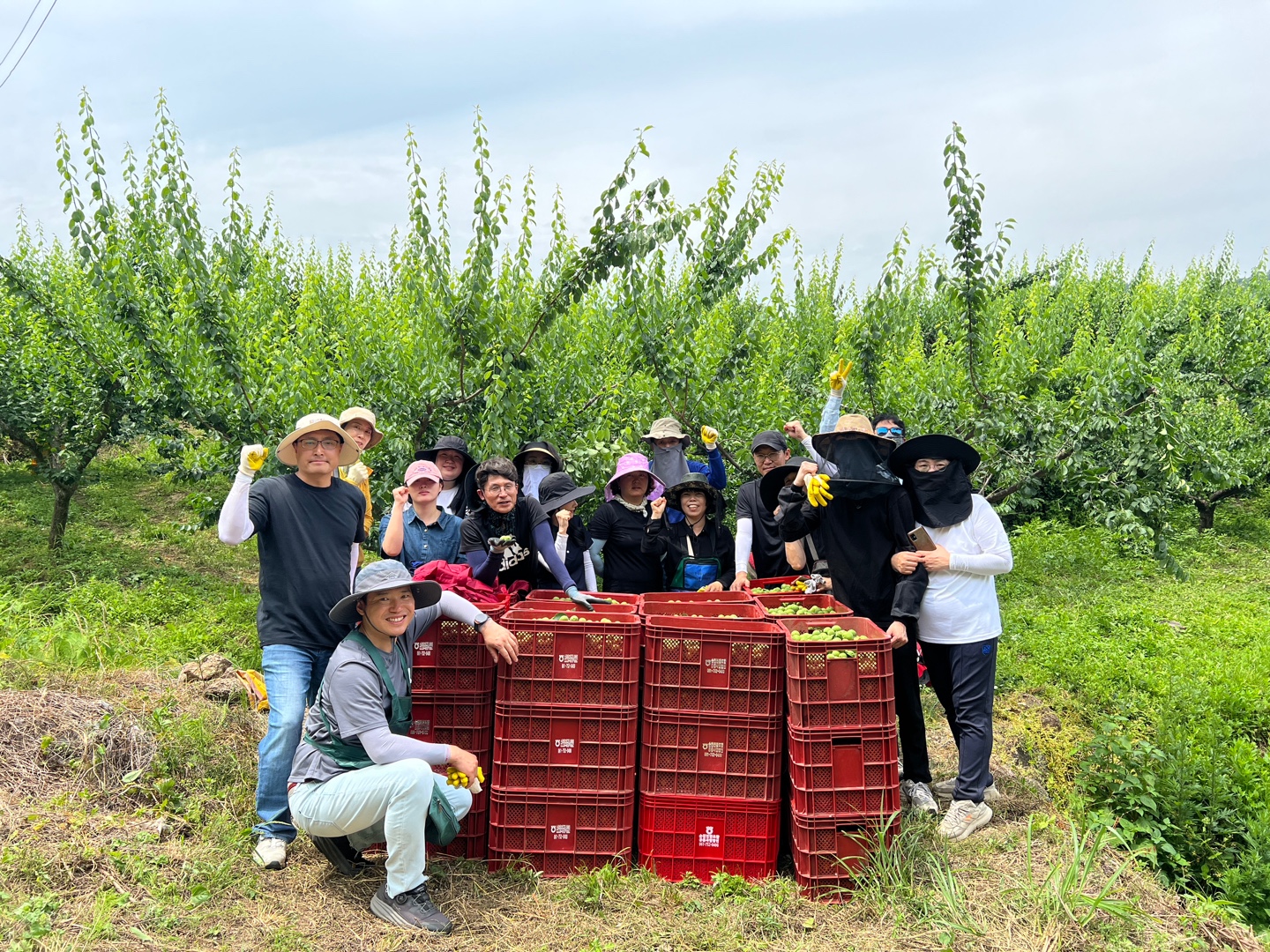 2025년 순천시농업기술센터 농촌일손돕기 boardView22