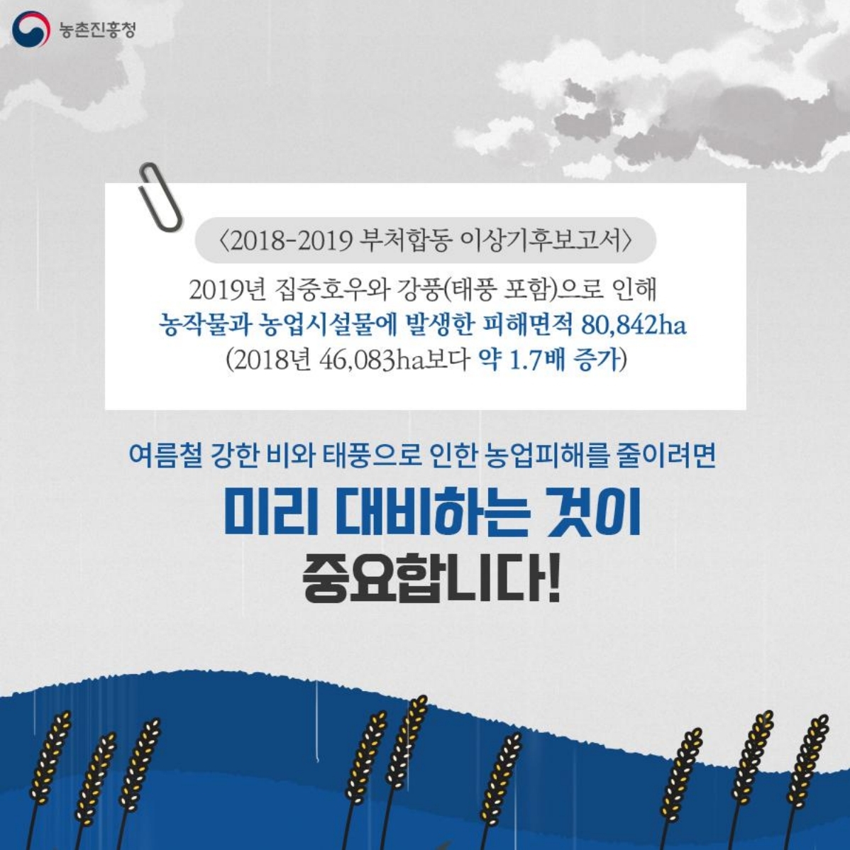 02.jpg 이미지입니다.