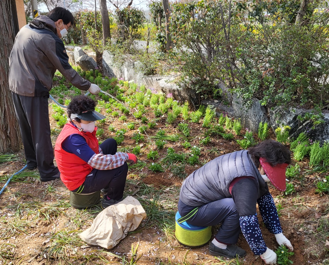 여름꽃 식재1.jpg 이미지입니다.