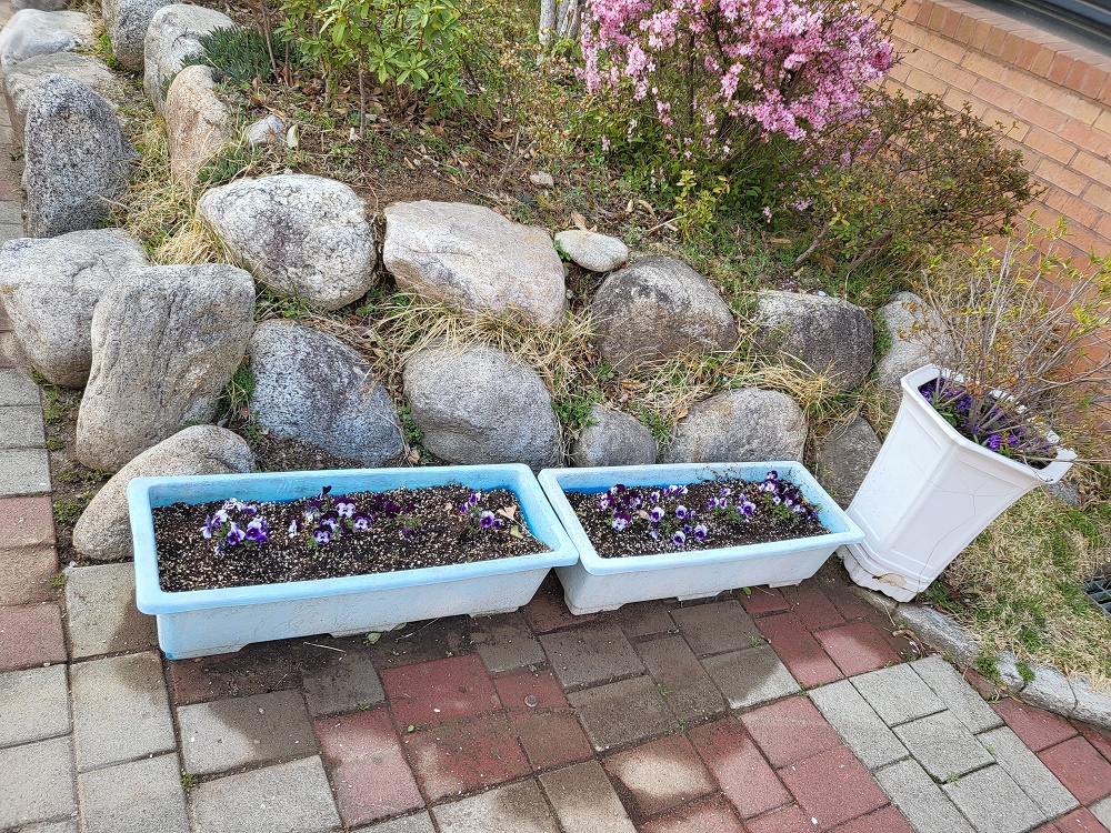 22.4 봄꽃 식재.jpg 이미지입니다.