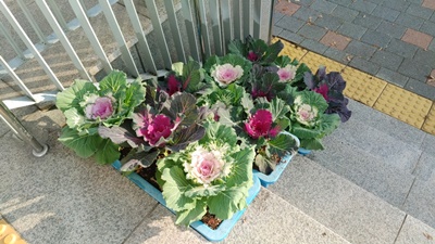 20221117_153705_HDR.jpg 이미지입니다.