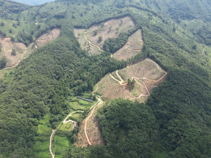 1.산림청 목재수확 평가받은 순천시 낙안면 창녕리 벌채지.JPG 이미지입니다.