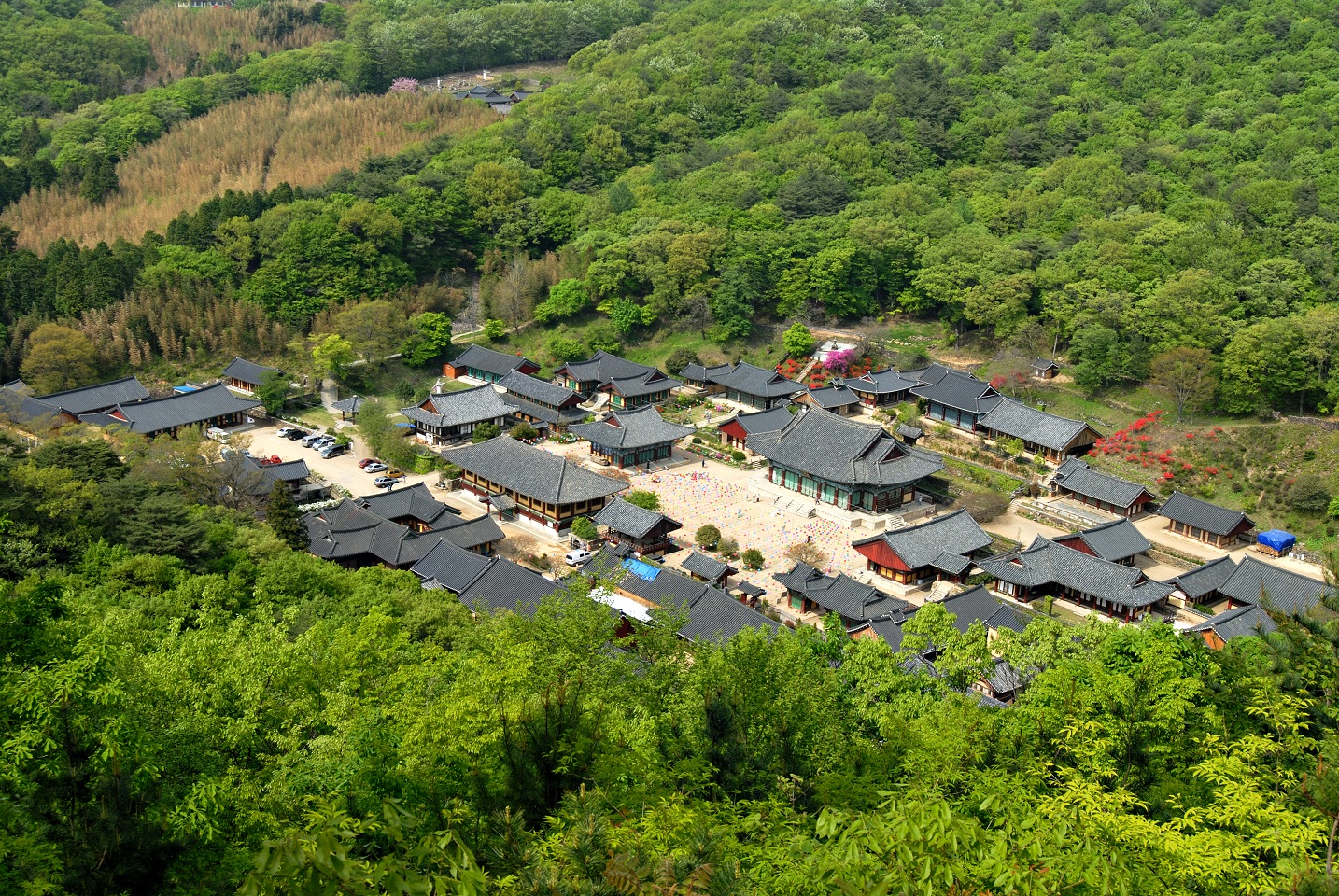 문화유산_사적 송광사.jpg 이미지입니다.