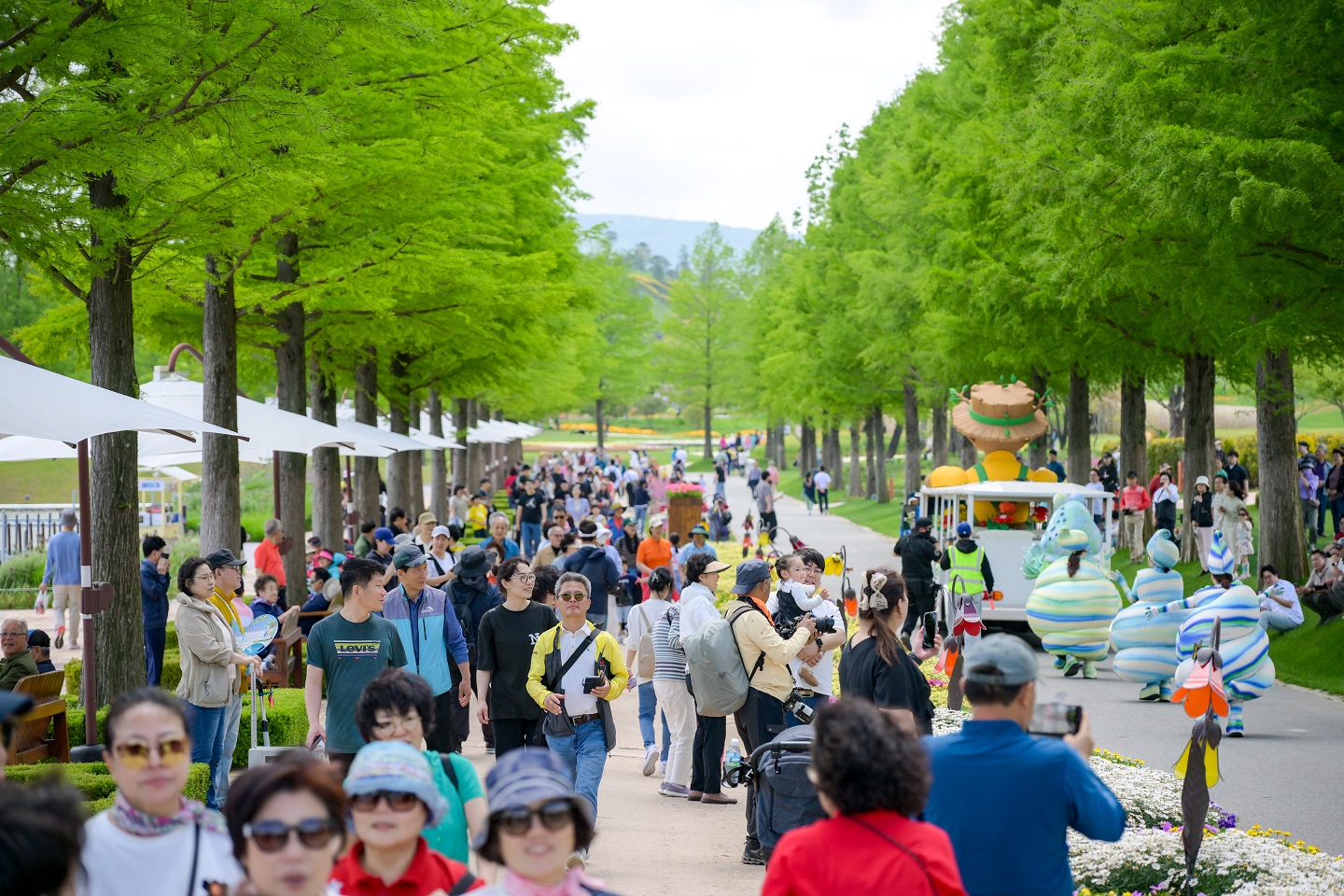 2024년 새롭게 단장한 순천만국가정원에서 관람객들이 나들이를 즐기고 있다