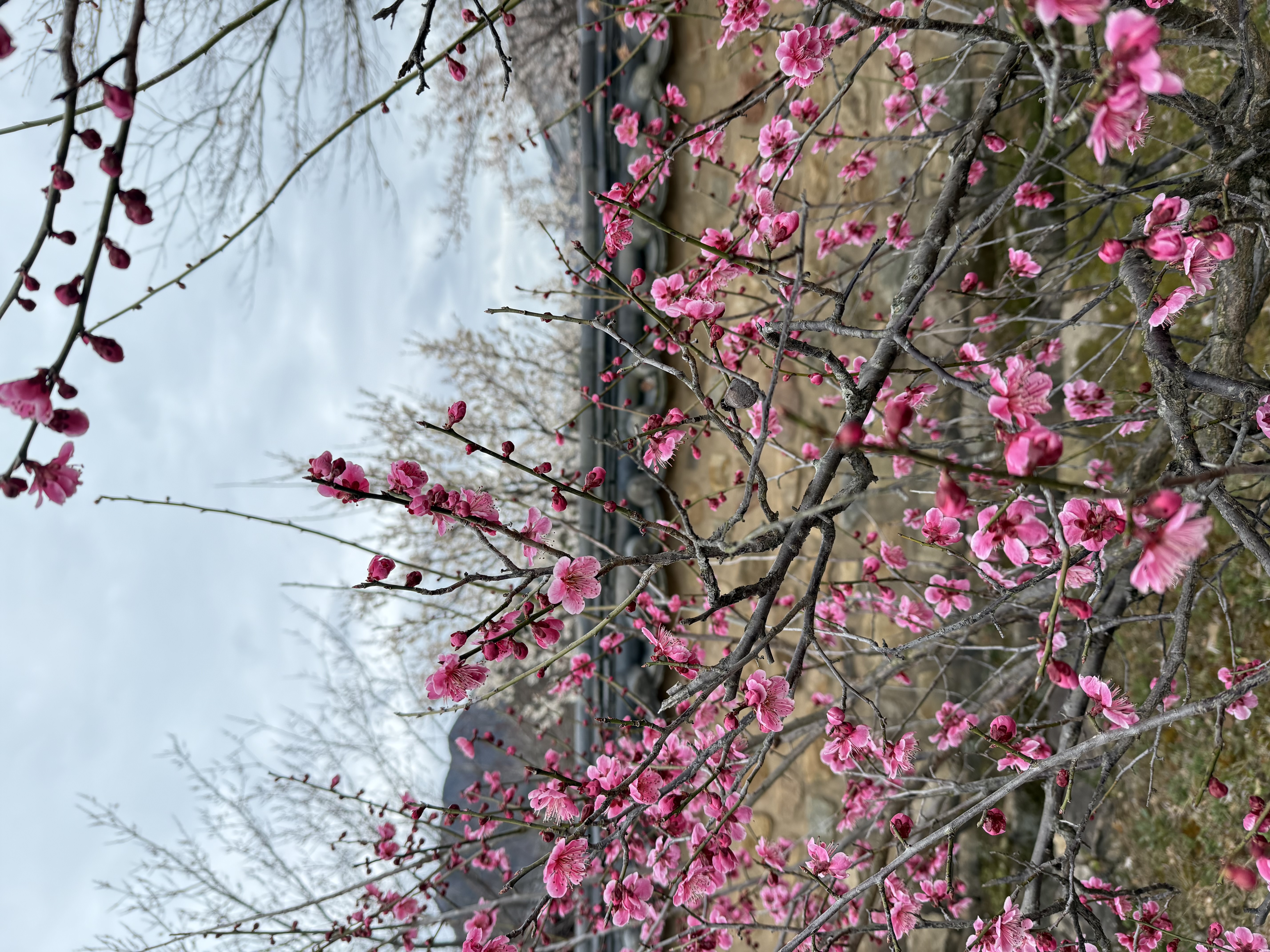 IMG_3700.jpeg 이미지입니다.