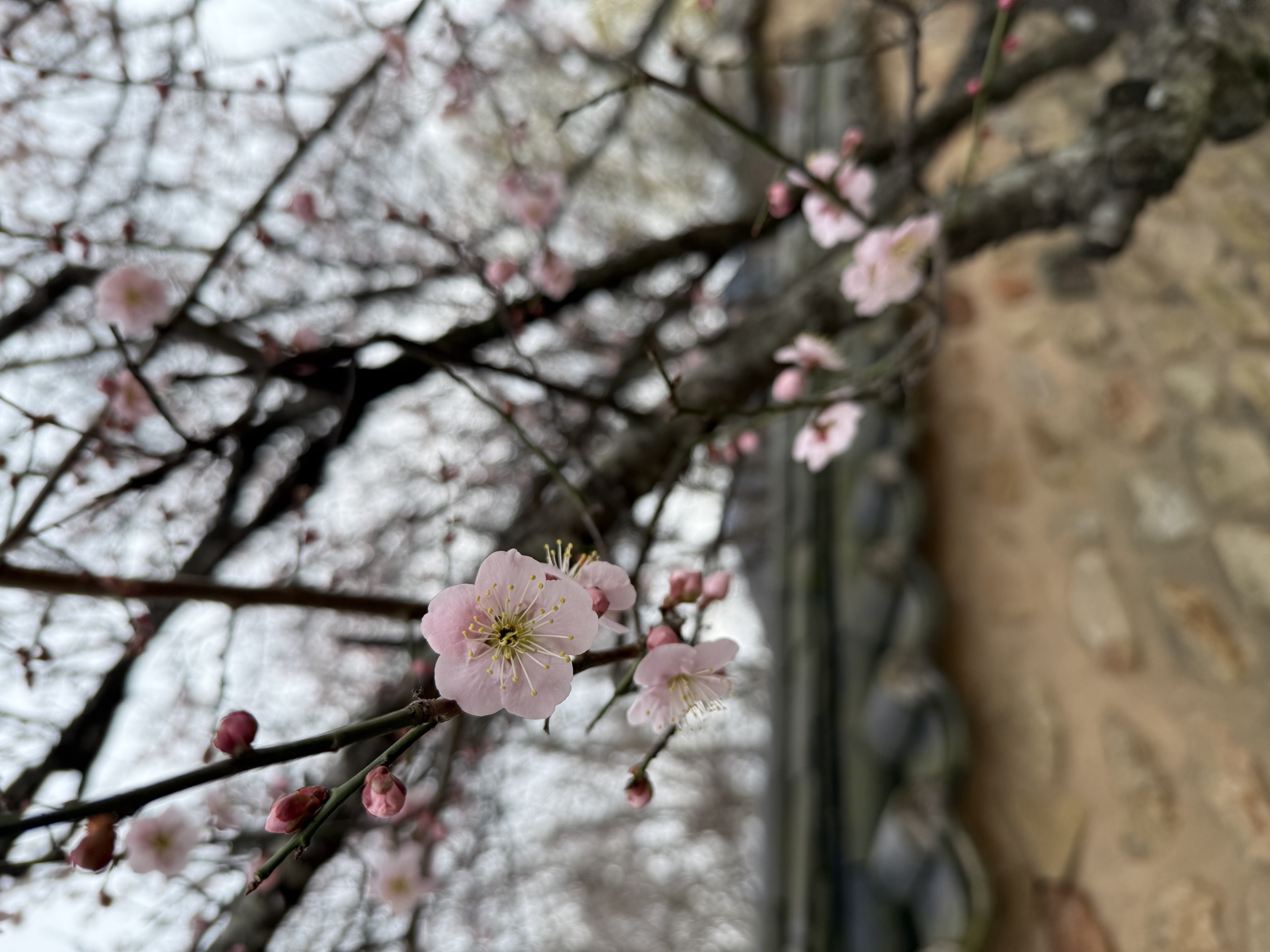 IMG_3703.jpeg 이미지입니다.