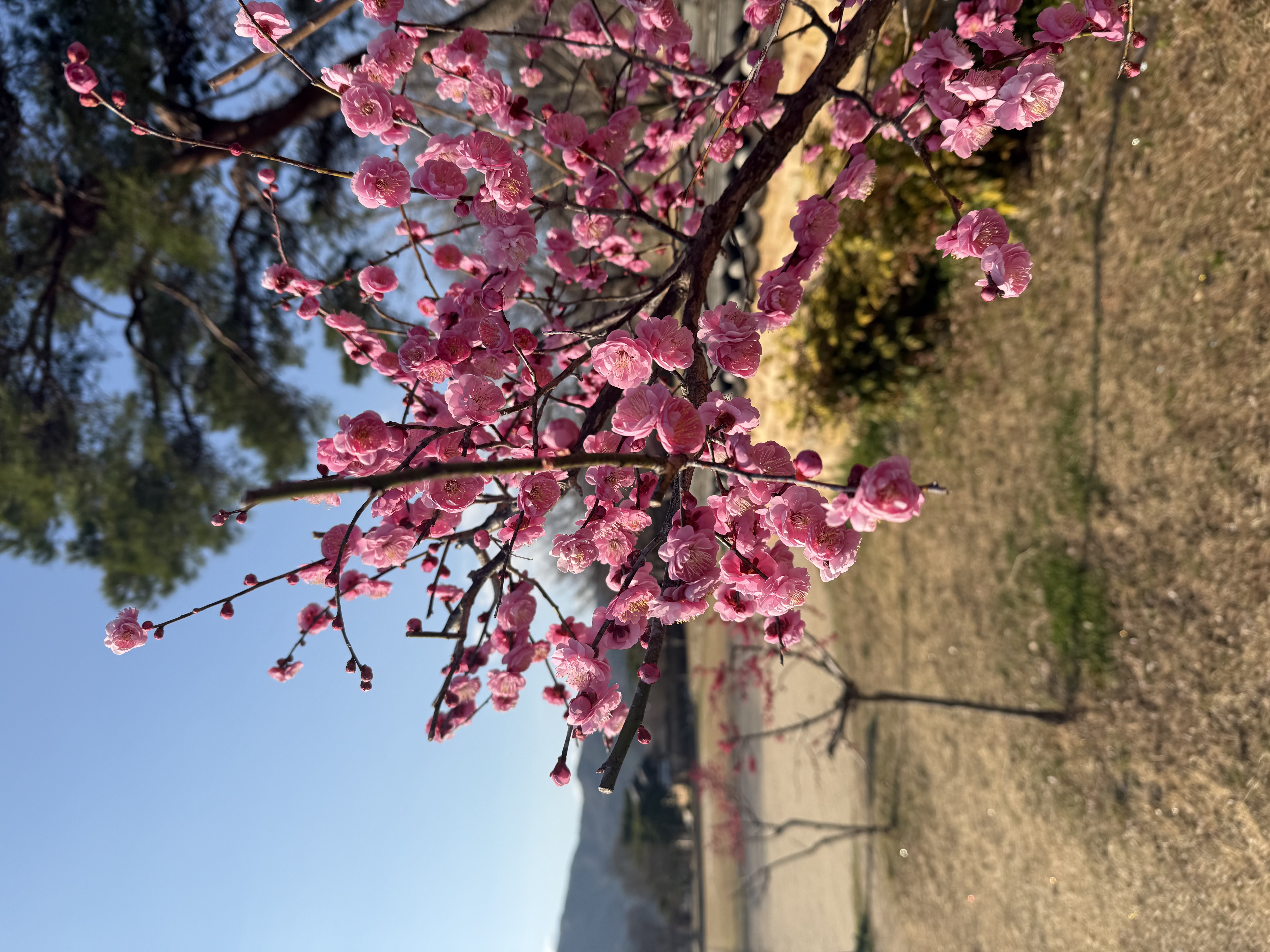 IMG_3766.jpeg 이미지입니다.