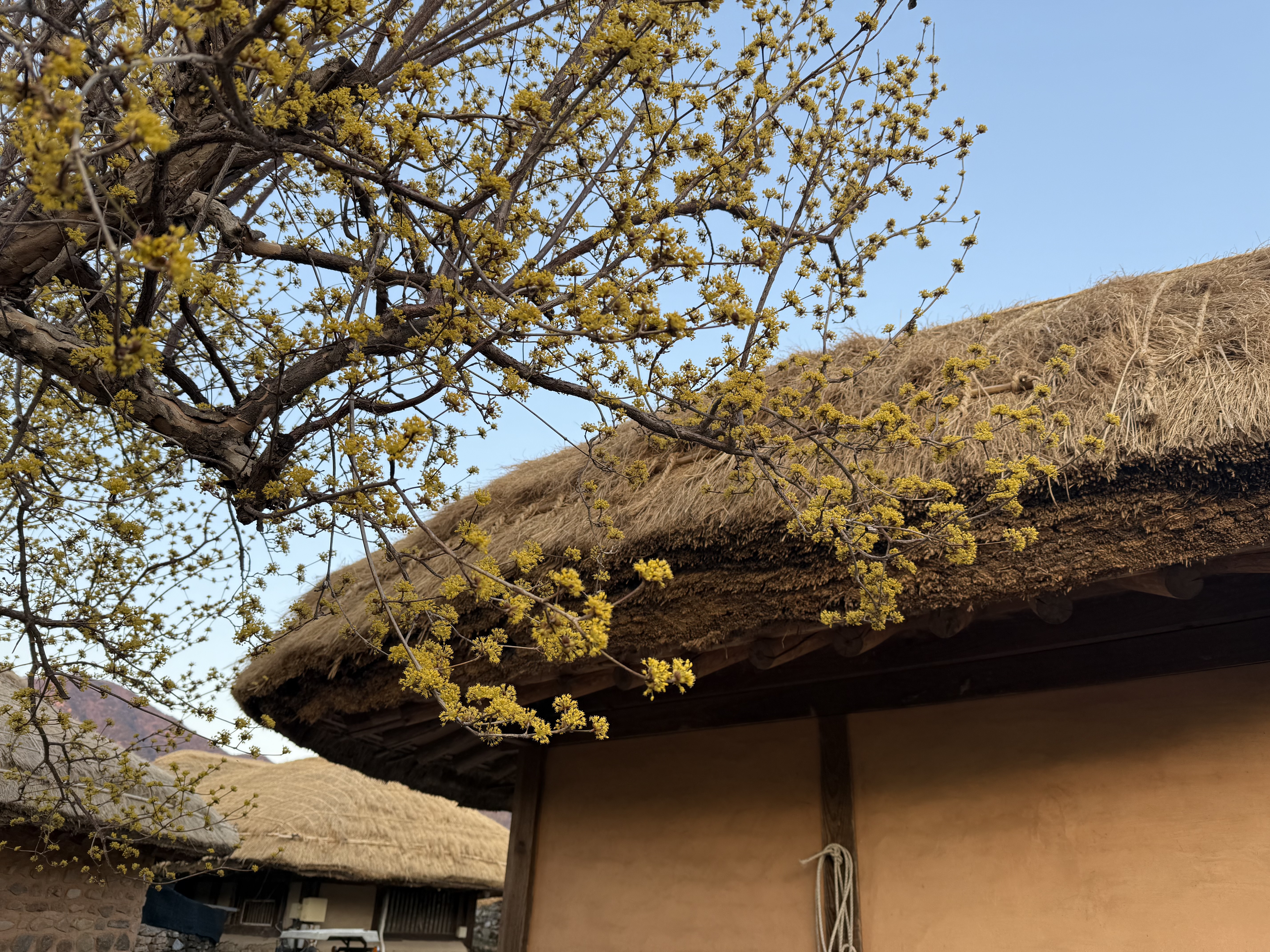 IMG_3795.jpeg 이미지입니다.