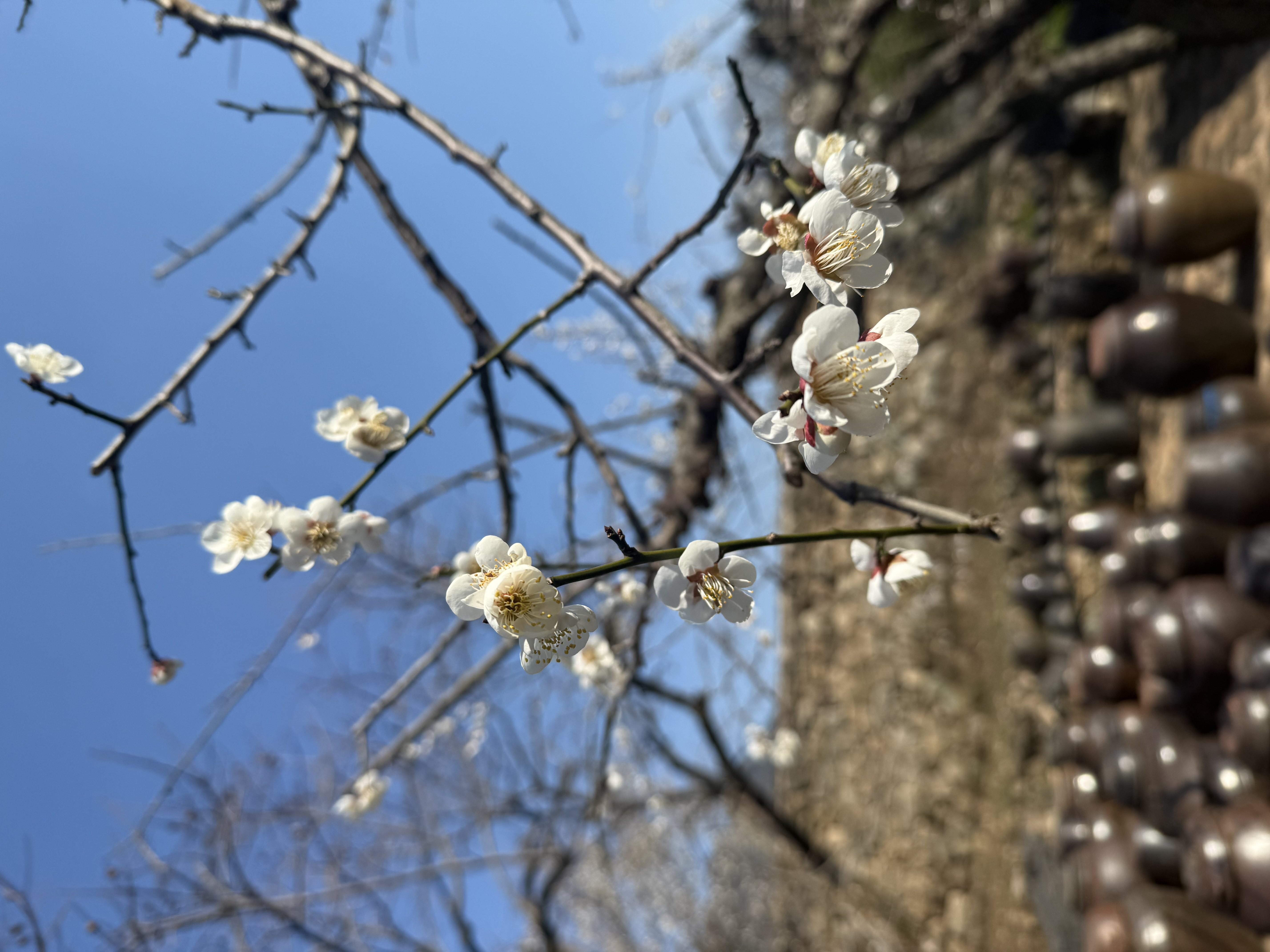 IMG_3788.jpeg 이미지입니다.