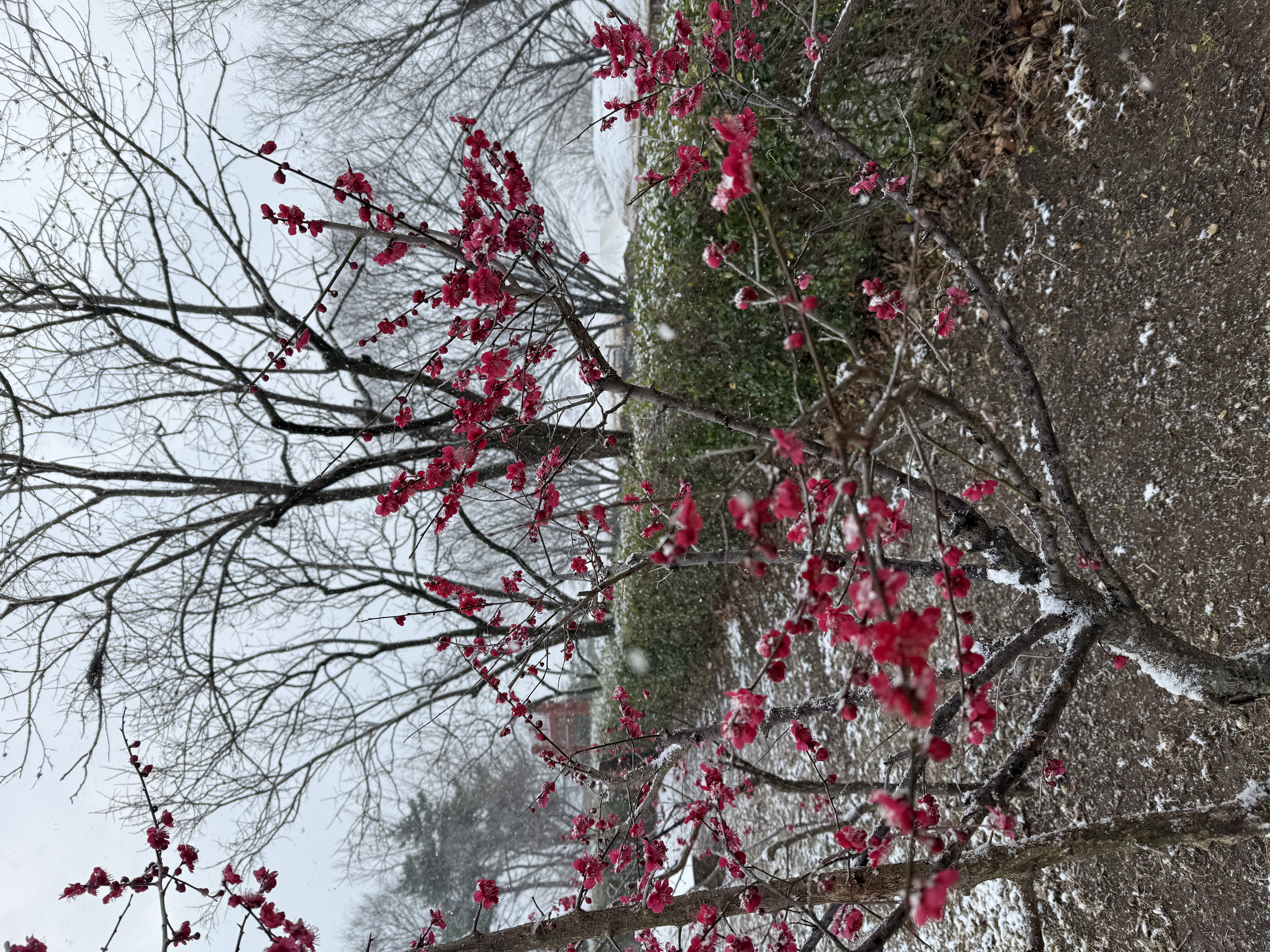 IMG_3814.jpeg 이미지입니다.