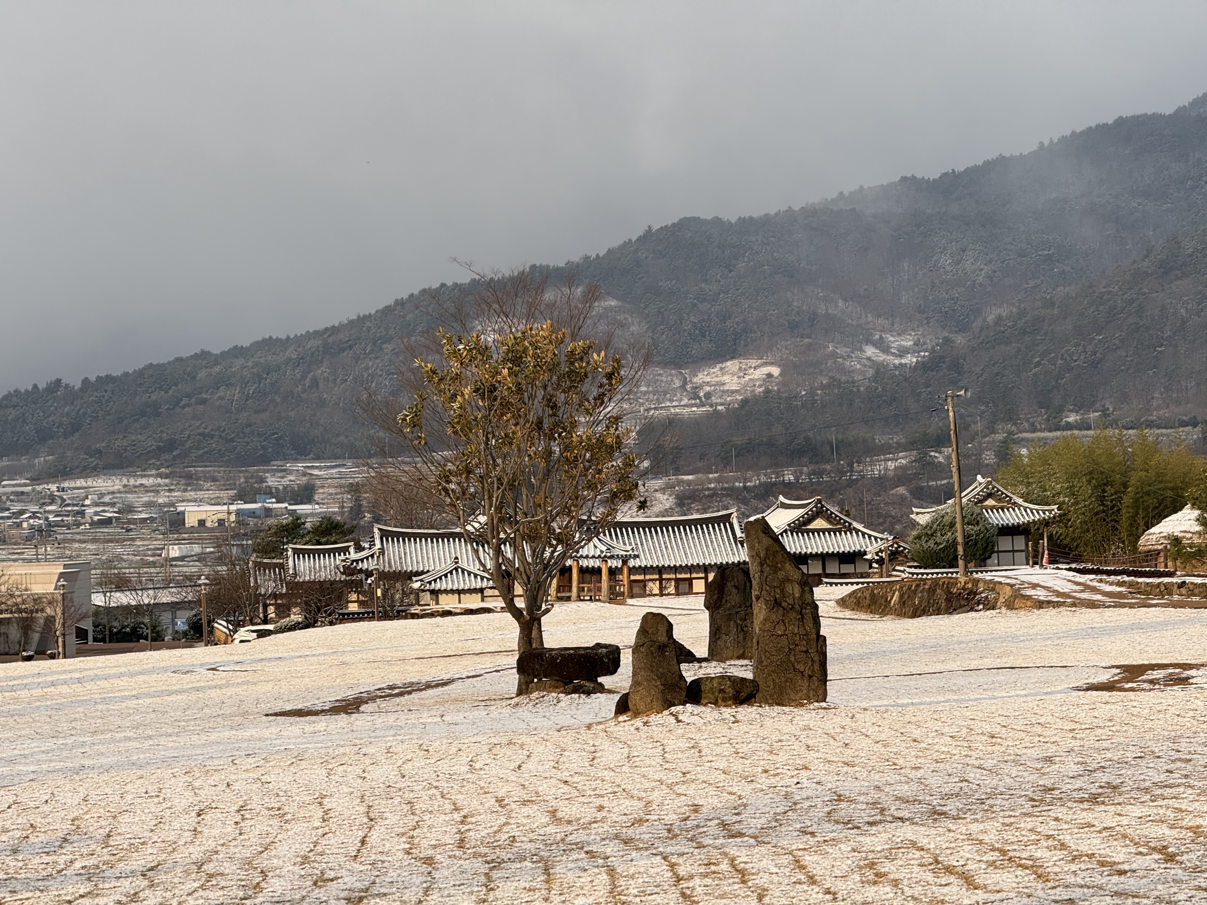 IMG_3806.jpeg 이미지입니다.