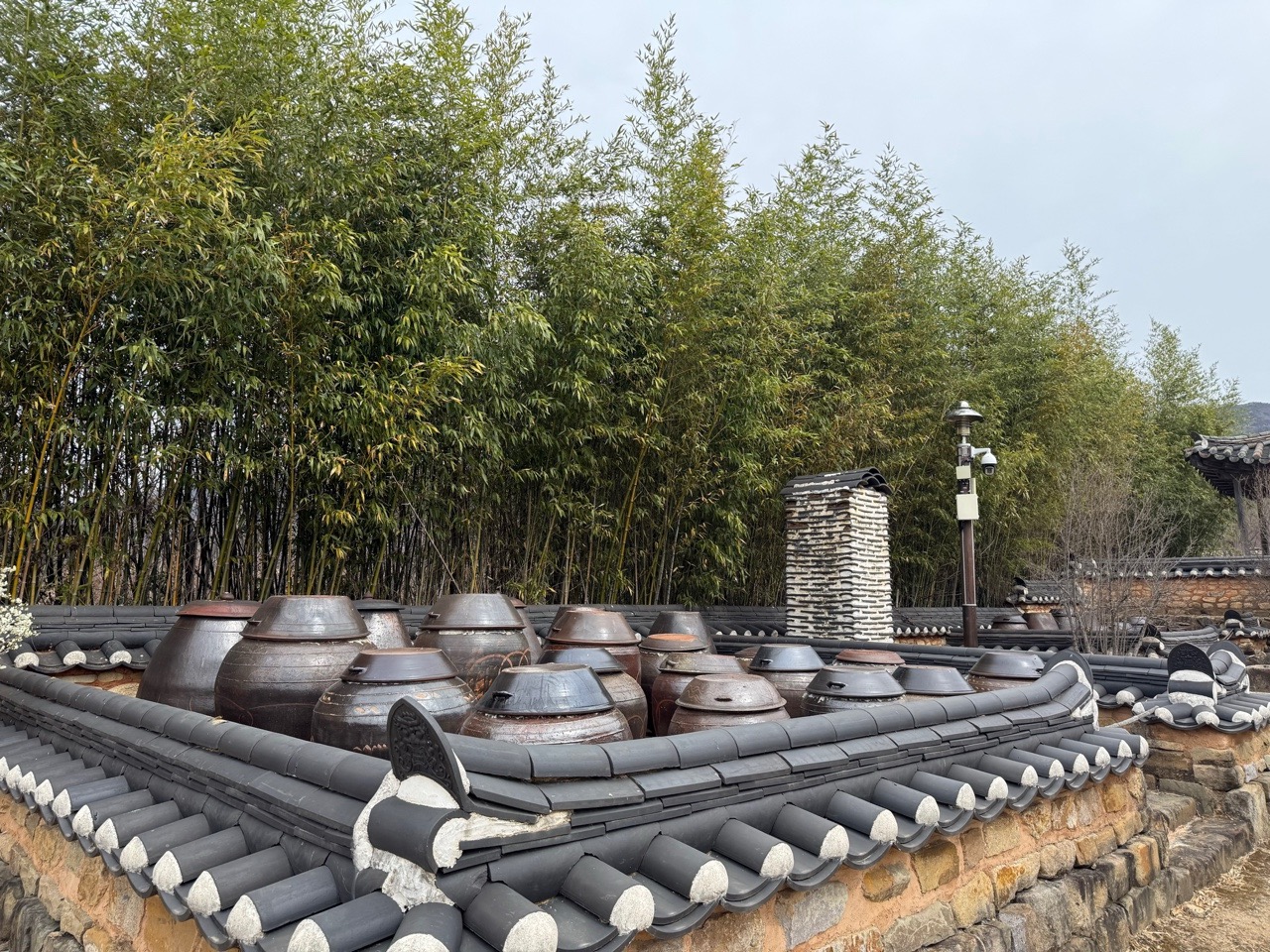 봄3.jpg 이미지입니다.