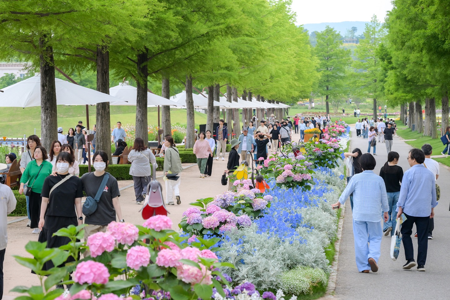 1 순천만국가정원 올해 관람객 200만명 돌파.jpg 이미지입니다.