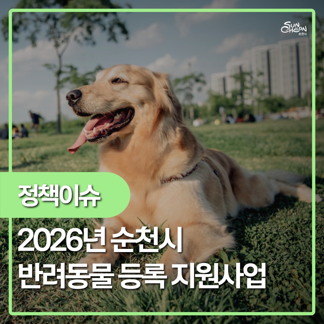 BandPhoto_2026_01_23_21_01_15.jpg 이미지입니다.